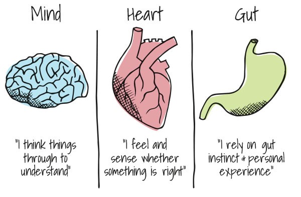 Mind-Heart-Gut-Colour